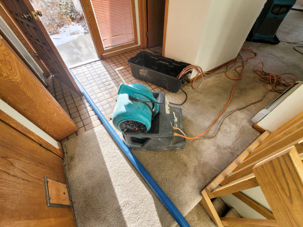 Best Basement water damage restoration  in Amity, OR