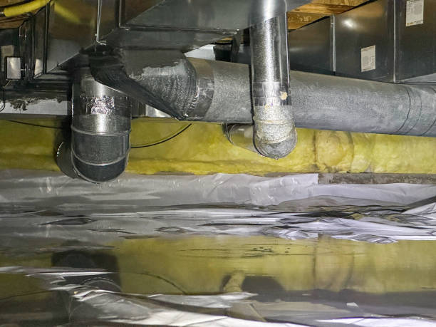 Best Water damage restoration near me  in Amity, OR