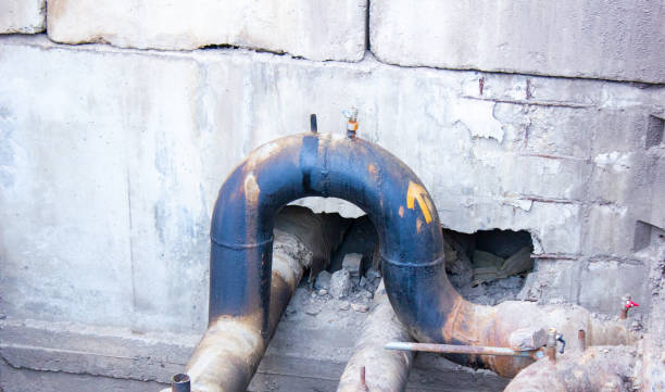 Best Water damage contractors near me  in Amity, OR