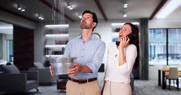 Best Mold removal after water damage  in Amity, OR